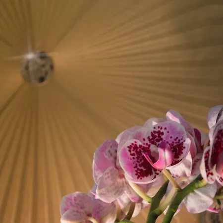 דירה My-lord Luxapartman אגר